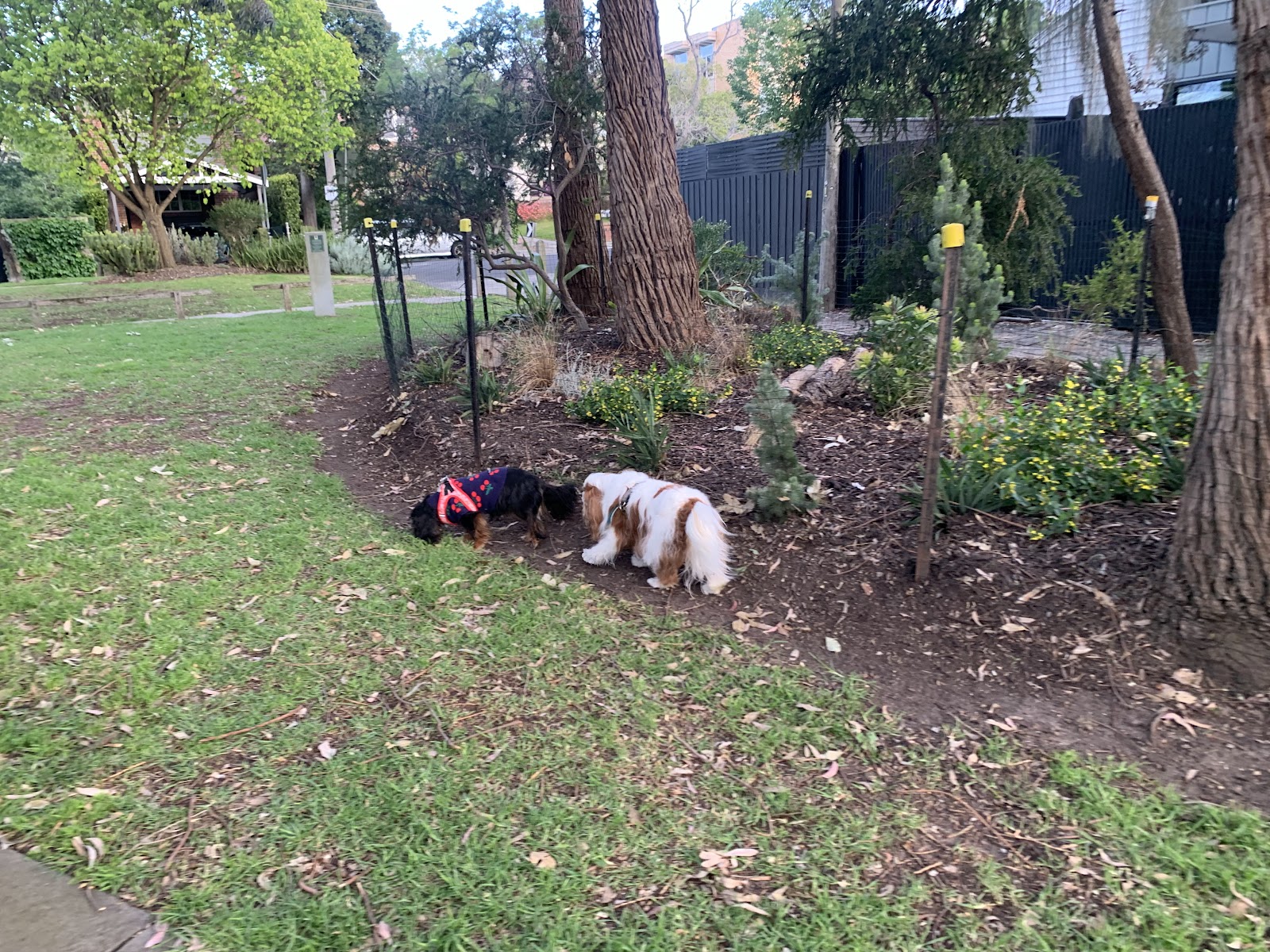 Armadale Reserve Off Leash Park photo