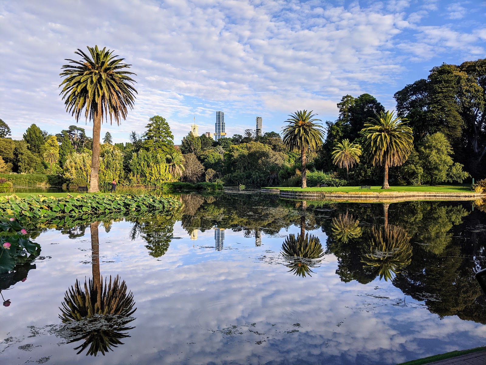Royal Botanic Gardens Victoria - Melbourne Gardens photo