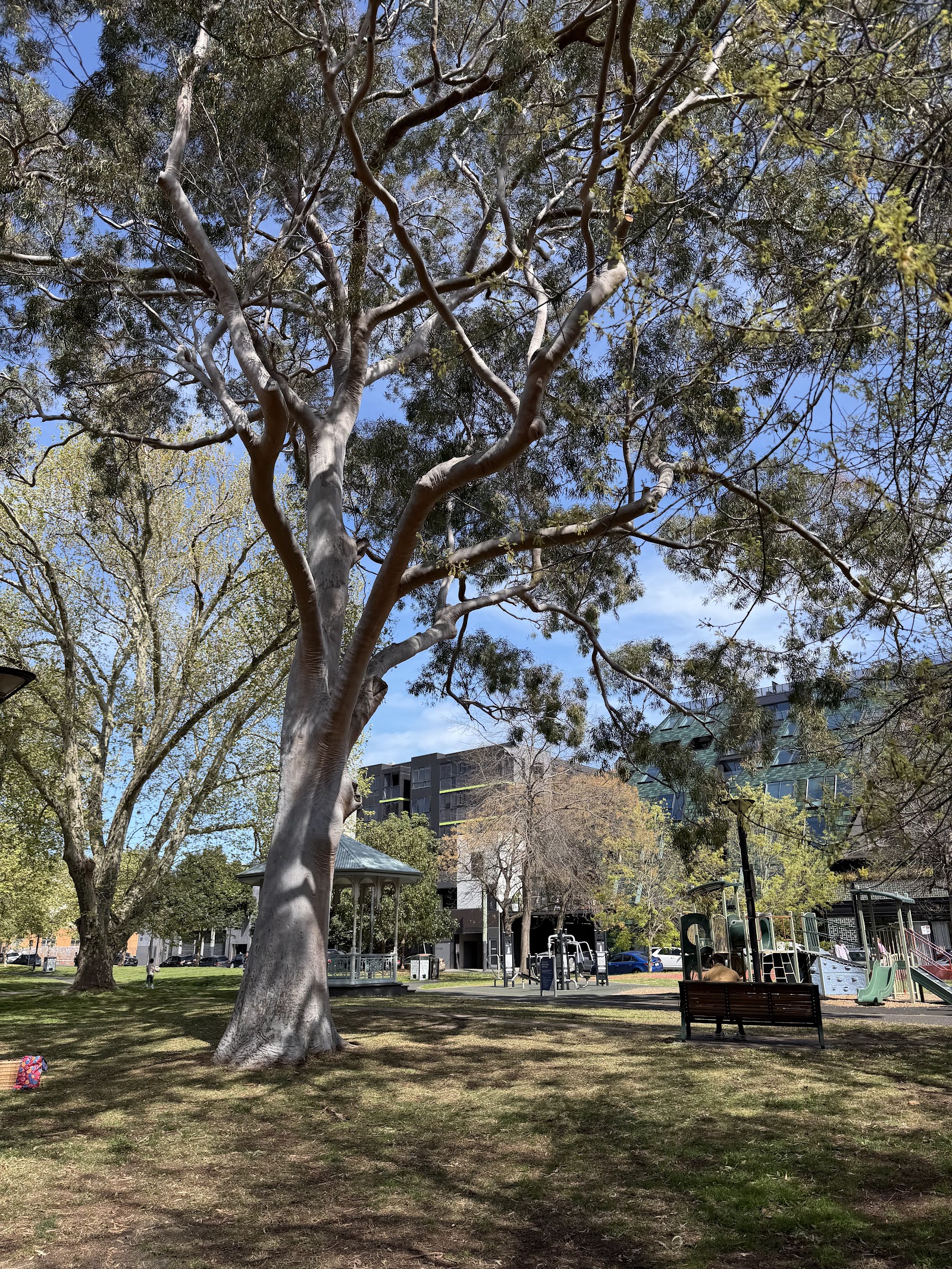 Grattan Gardens photo
