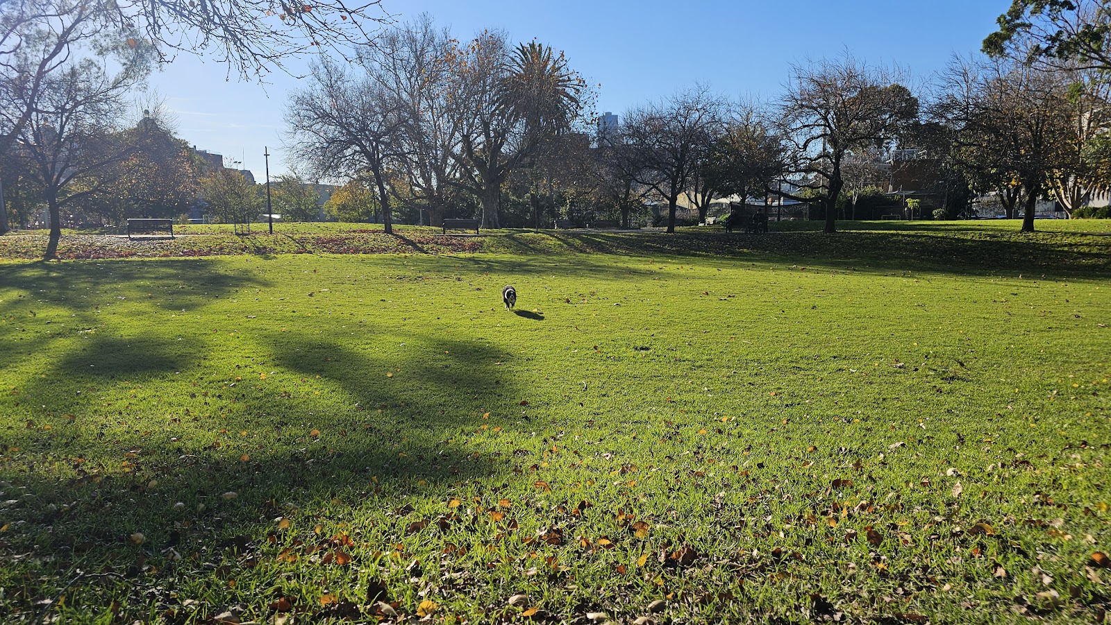 Princess Gardens Off-Leash Area photo