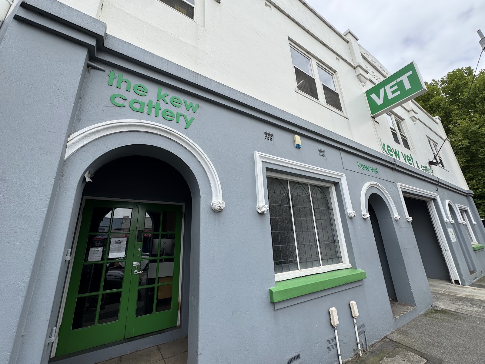 Kew Vet and Cattery photo