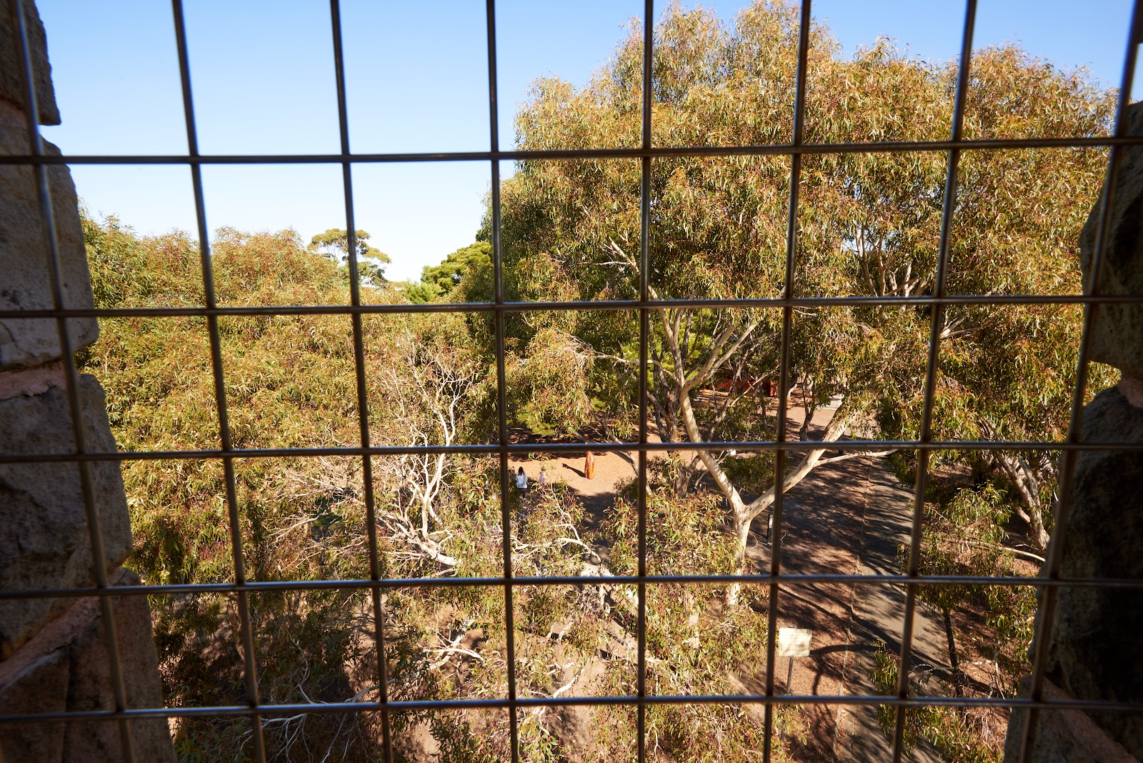 Beckett Park photo